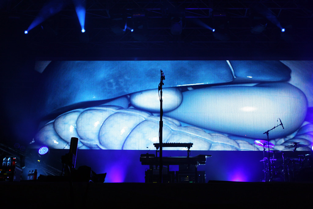 Drum Roll Live Sample Pack Free